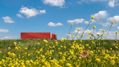 Shell biodiesel