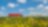 Shell biodiesel