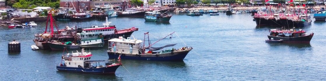 many boats in sea