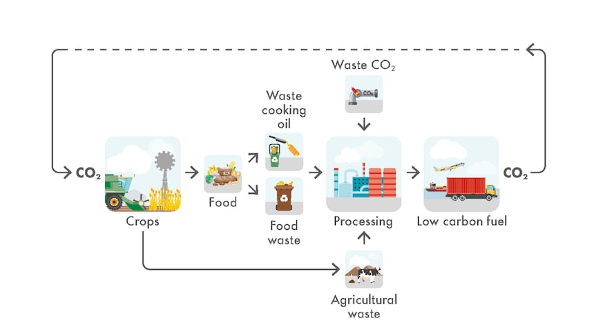 SRD_Example of a short-term carbon cycle