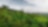 Sky with trees