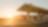 Sun rising behind a Shell station forecourt