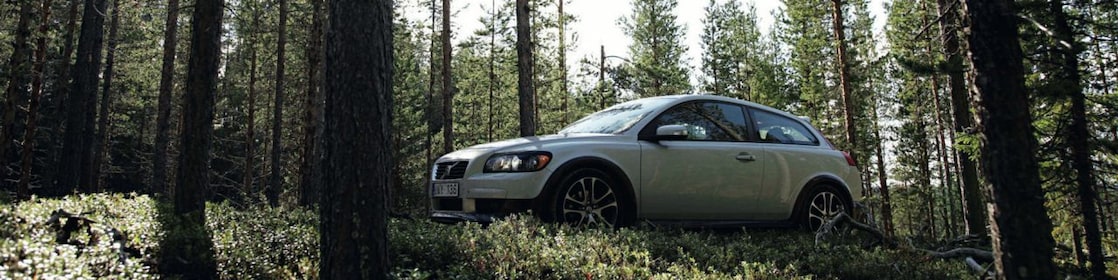Car on the forest road