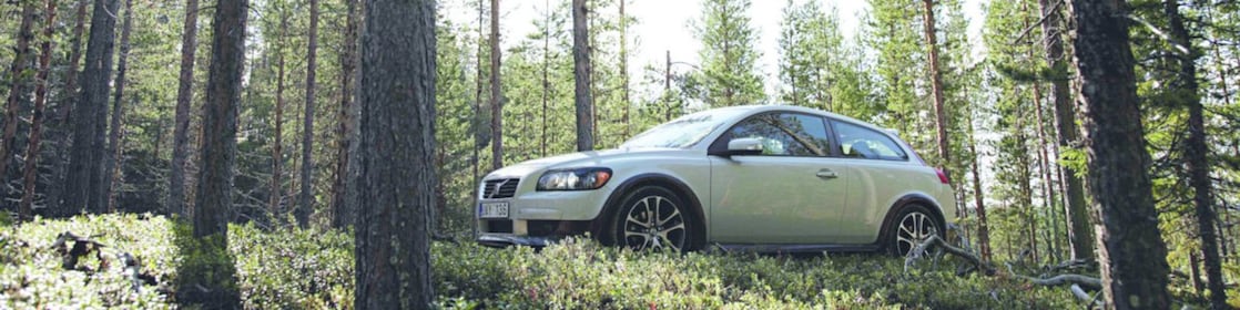 Car on the forest road