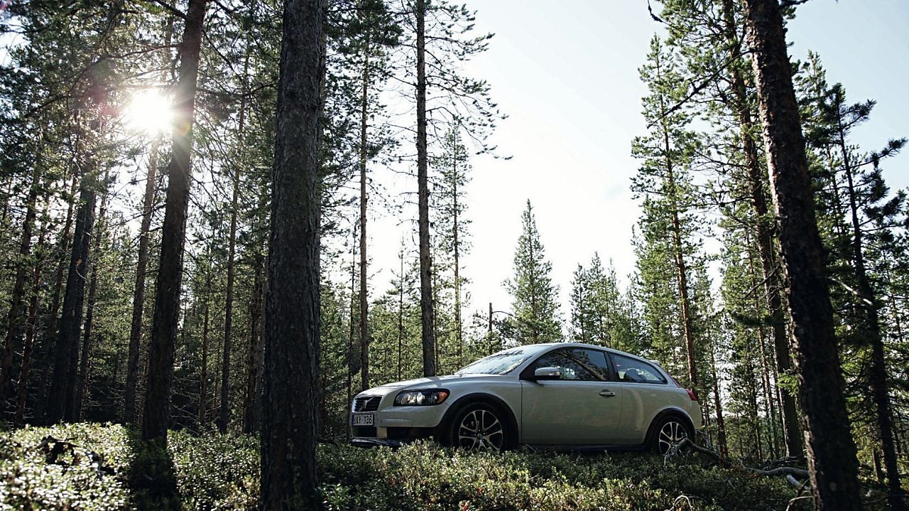 Car on the forest road