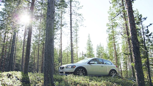 Car on the forest road