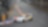 Racing car on track