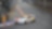 Racing car on track