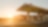 Sun rising behind a Shell station forecourt