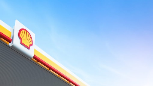 Shell Pecten on the background of the blue sky