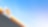 Shell Pecten on the background of the blue sky