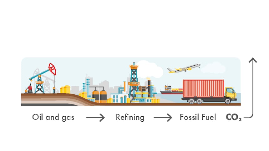 長期碳循環示例