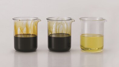 On the left are the "Bloodletting Samples" of the Mercedes-Benz C-Class and Honda Airwave 2005 and the "Bloodletting Samples" on the right.