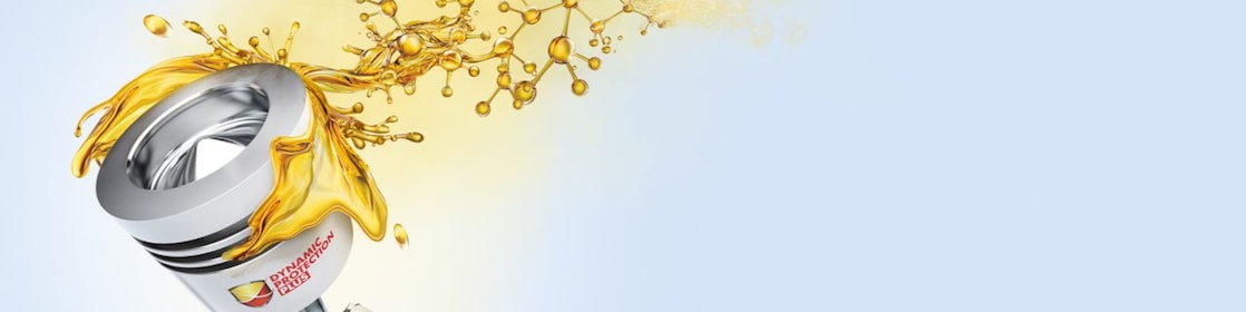 dynamic protection plus piston