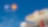 Shell x yuu 推廣​